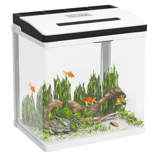 Acuario de Cristal - 29 x 20 x 30,5