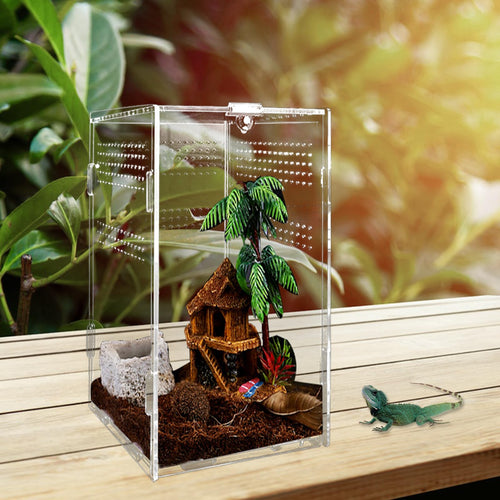Caja de Alimentación de Insectos - MINISOISO - 12x12x20cm