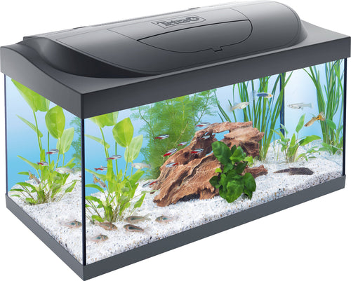 Acuario de inicio grande - Bombilla LED con Modo luz diurna/nocturna - Tetra Starter Line LED 54L